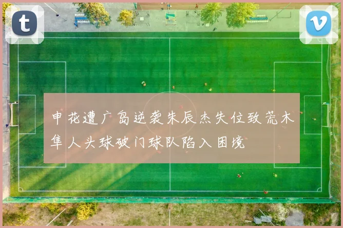 申花遭广岛逆袭朱辰杰失位致荒木隼人头球破门球队陷入困境