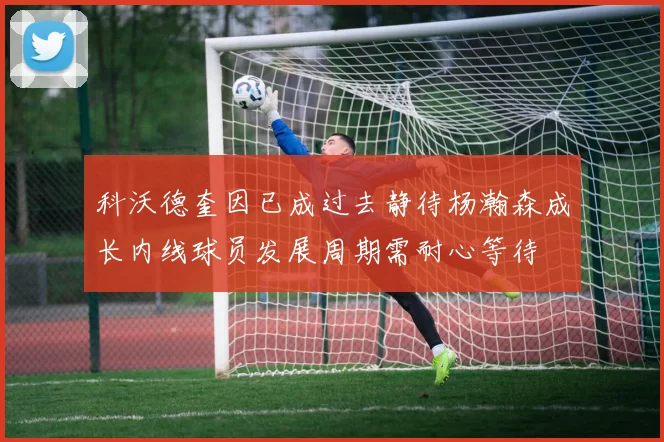 科沃德奎因已成过去静待杨瀚森成长内线球员发展周期需耐心等待