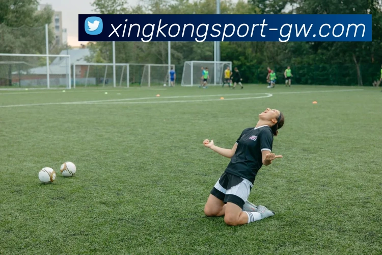 App Interface Preview