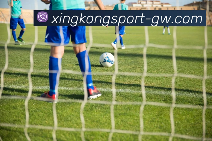 星空体育APP 封面图