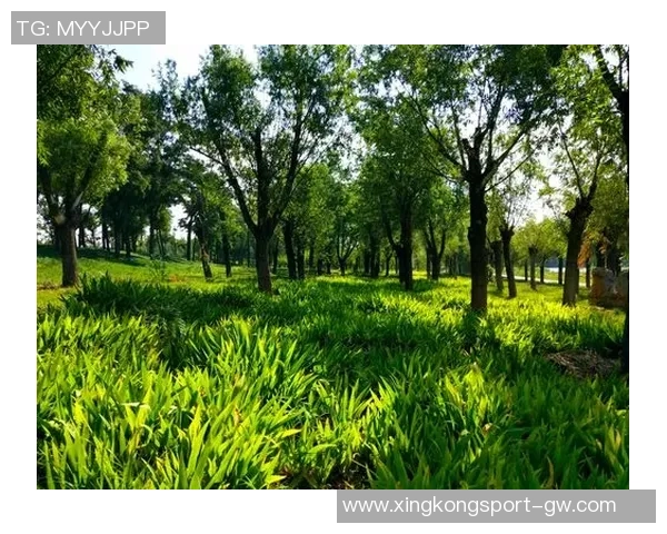 科内特称赞文班职业态度与专注力期待其未来更大突破与成长